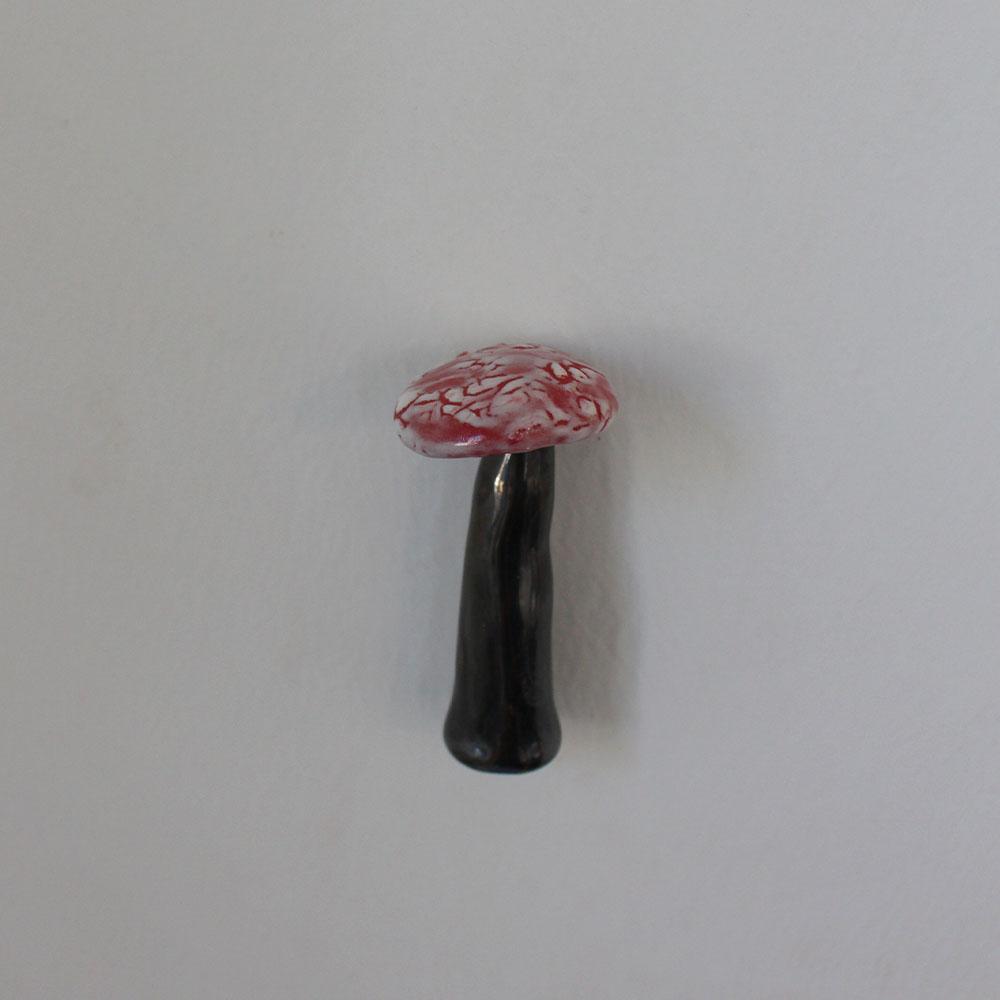 magnetic(mushroom08)