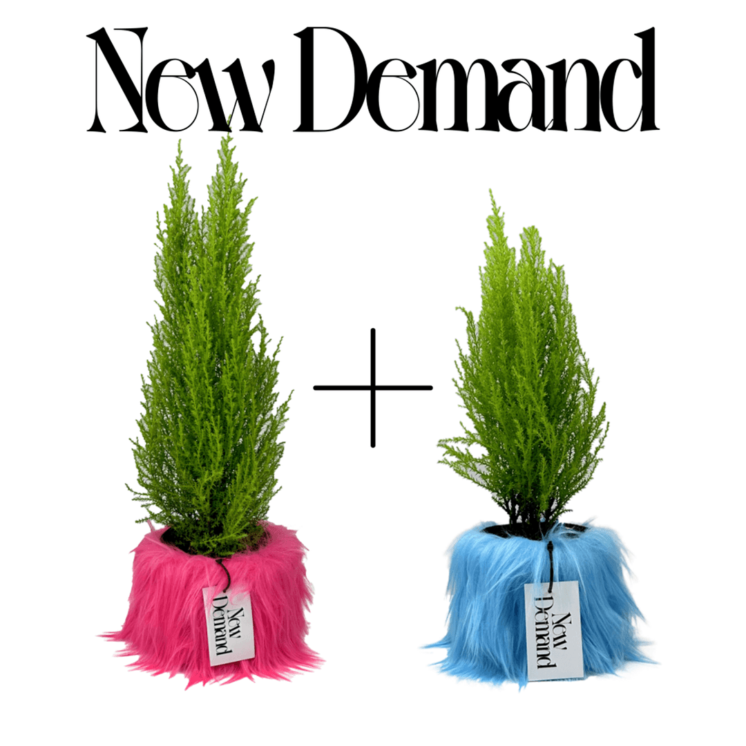 [NEW DEMAND] FLOWERPOT FUR 1+1 프로모션