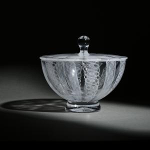 [이토 슈사크] Fiber 레이스 리드보울