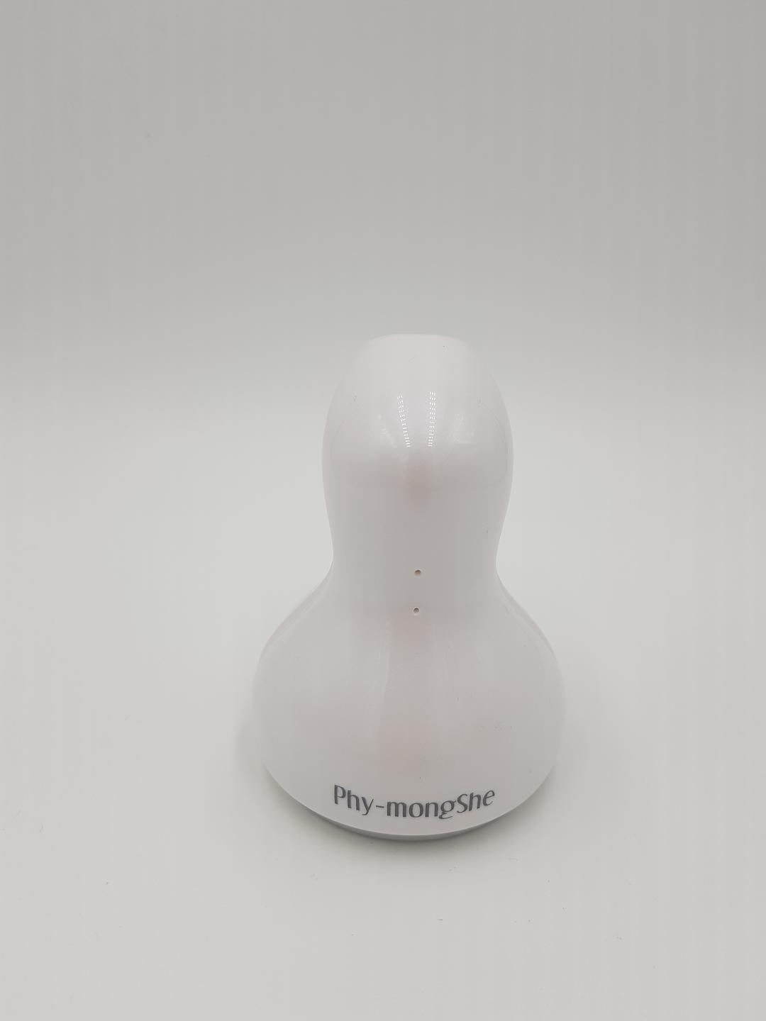 피몽쉐 더마 쿨러