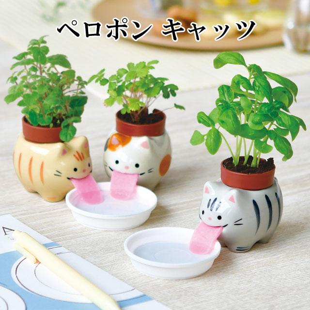 【楽天市場】栽培セット Peropon ペロポン キャッツ 栽培キット 植物 動物 グリーン ハーブ 野菜 ワイルドストロベリー バジル ミント ミケネコ サバトラ 茶トラ かわいい おしゃれ インテリア 置物 グッズ：癒しグッズ専門店　なごみ
