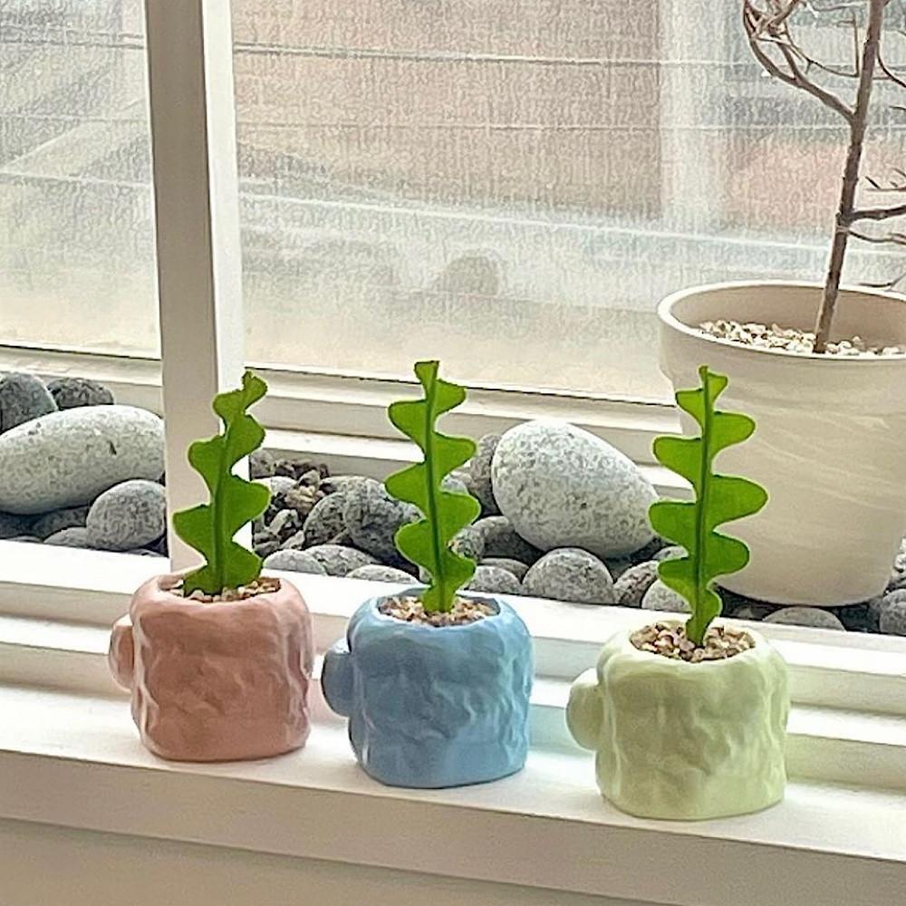 귀여운 미니 폼컵 피쉬본 하트호야 반려식물 키우기 플랜테리어 집들이 개업 화분 팟 선물