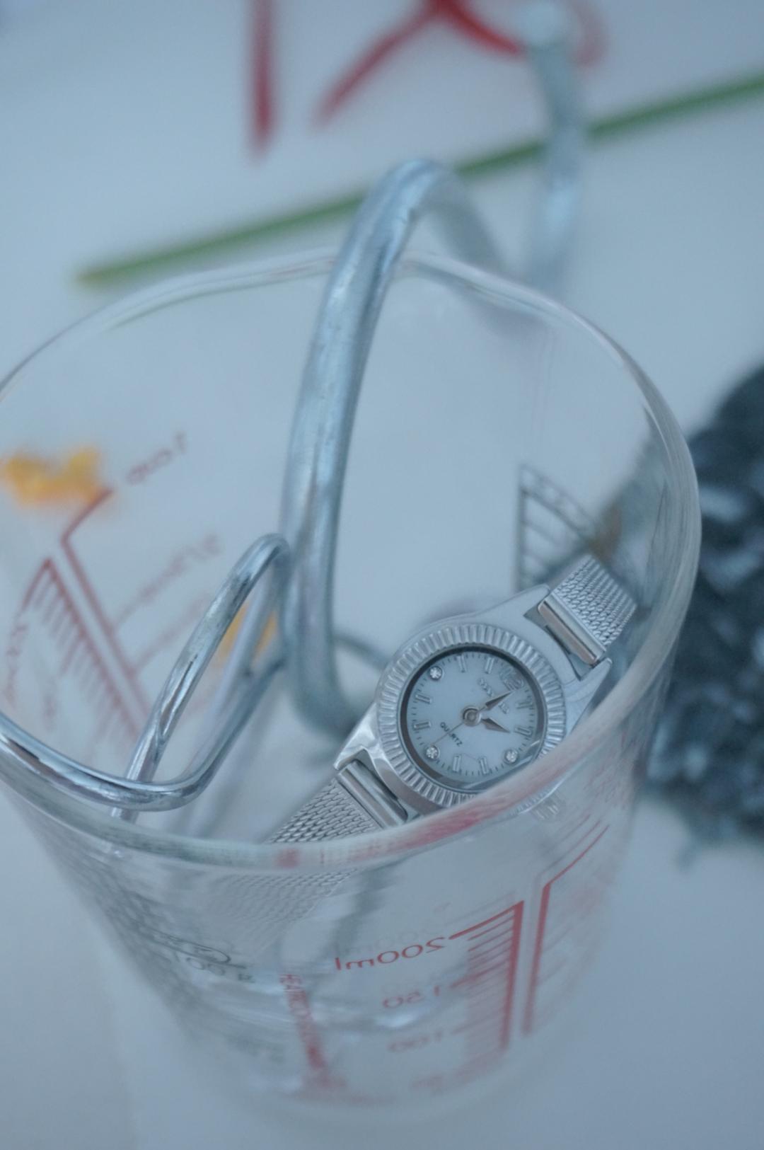 Luna mesh watch