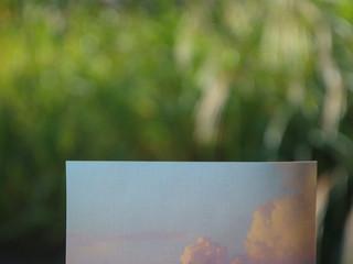 오묘한 마음(A mysterious mind)