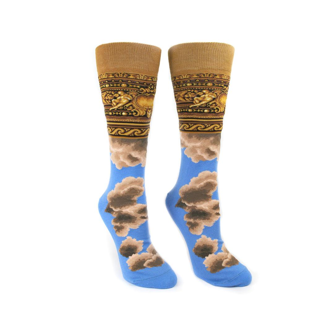 Rose Main Reading Room Ceiling Unisex Socks