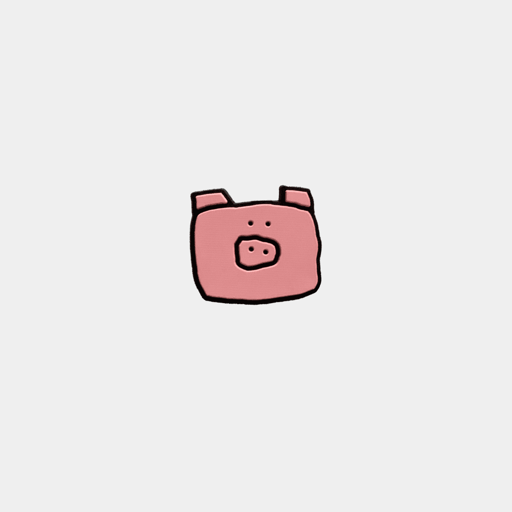 꼬숑 지비츠