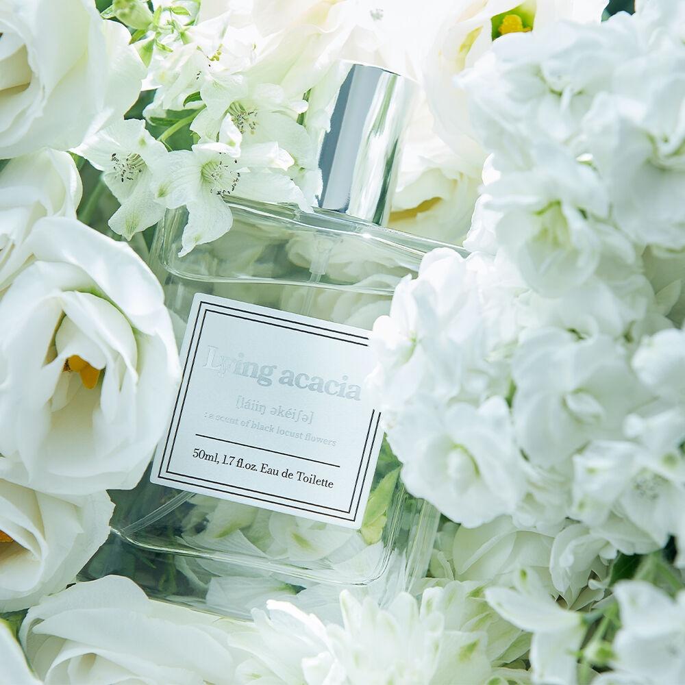 아카시아 향수 Lying acacia 50ml