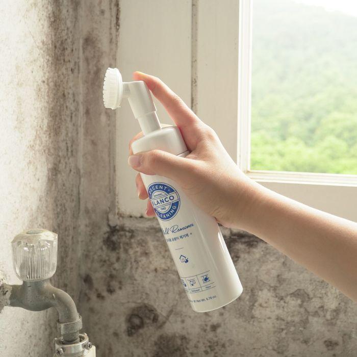 실내 전용 곰팡이제거제