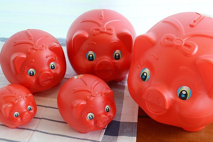 탈렌트 돼지저금통 5size