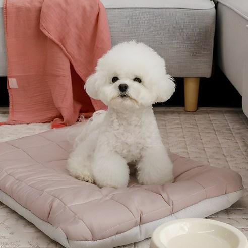 아망떼 강아지 알러지케어 다용도 방석 - 쿠션/방석 | 쿠팡