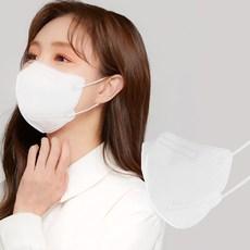 에어에이드 퍼스널컬러 2D 마스크 새부리형 대형