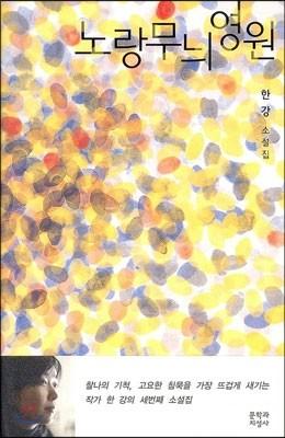 노랑무늬영원