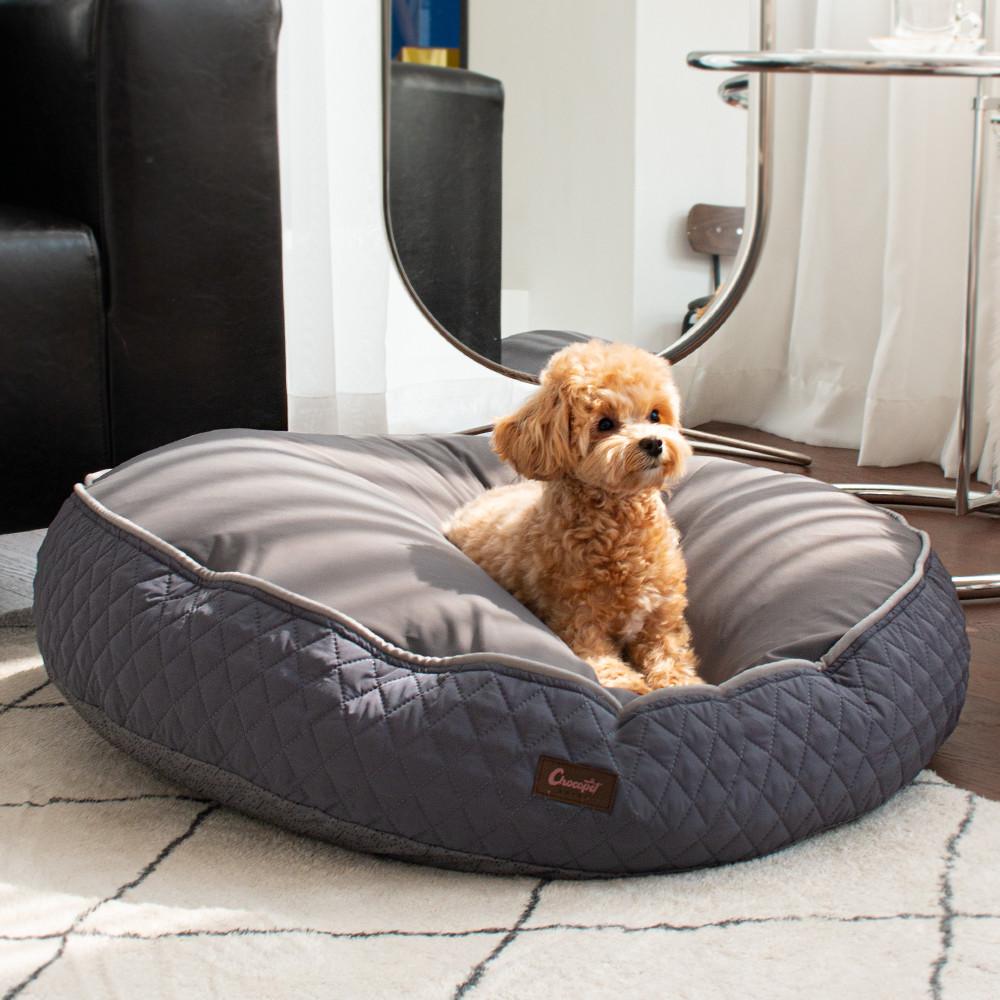 초코펫 강아지방석 쿠션 사계절 우주방석 2.0 소형