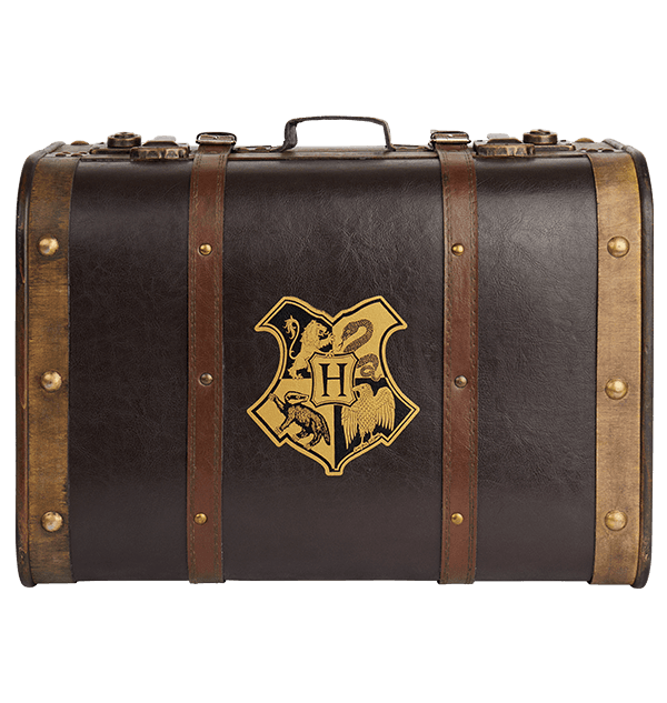 Hogwarts School Trunk