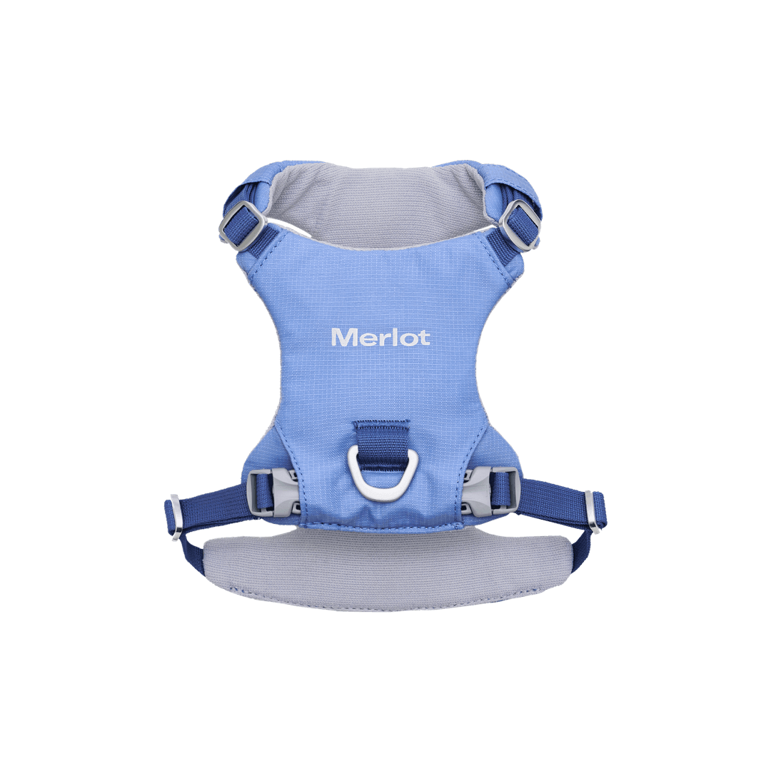 Ardor™ Harness Blue Stone