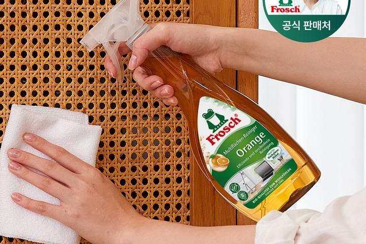 독일 다목적 오렌지 멀티클리너 500ml 가전 가구용