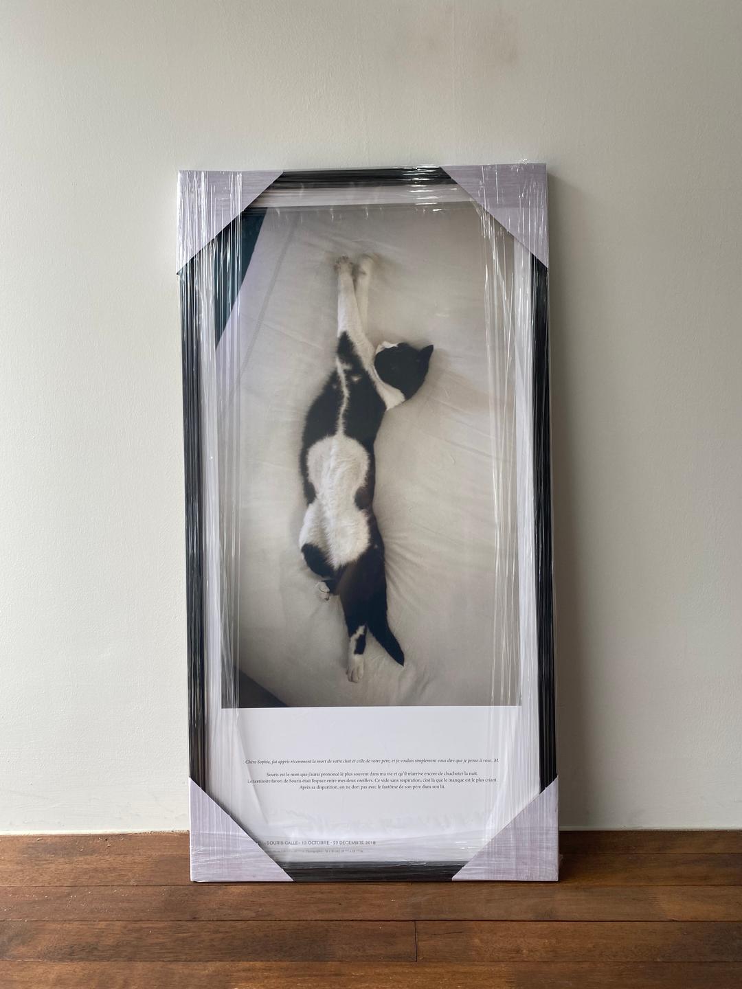Sophie Calle - Souris Calle