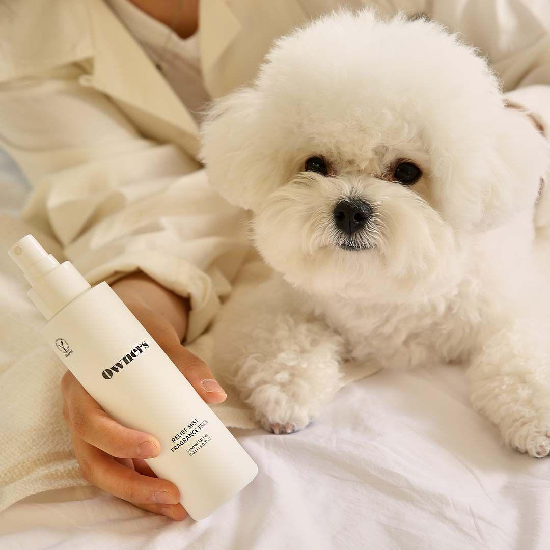 [기획전]오너스 릴리프 비건 미스트 무향/릴렉싱향 150ml