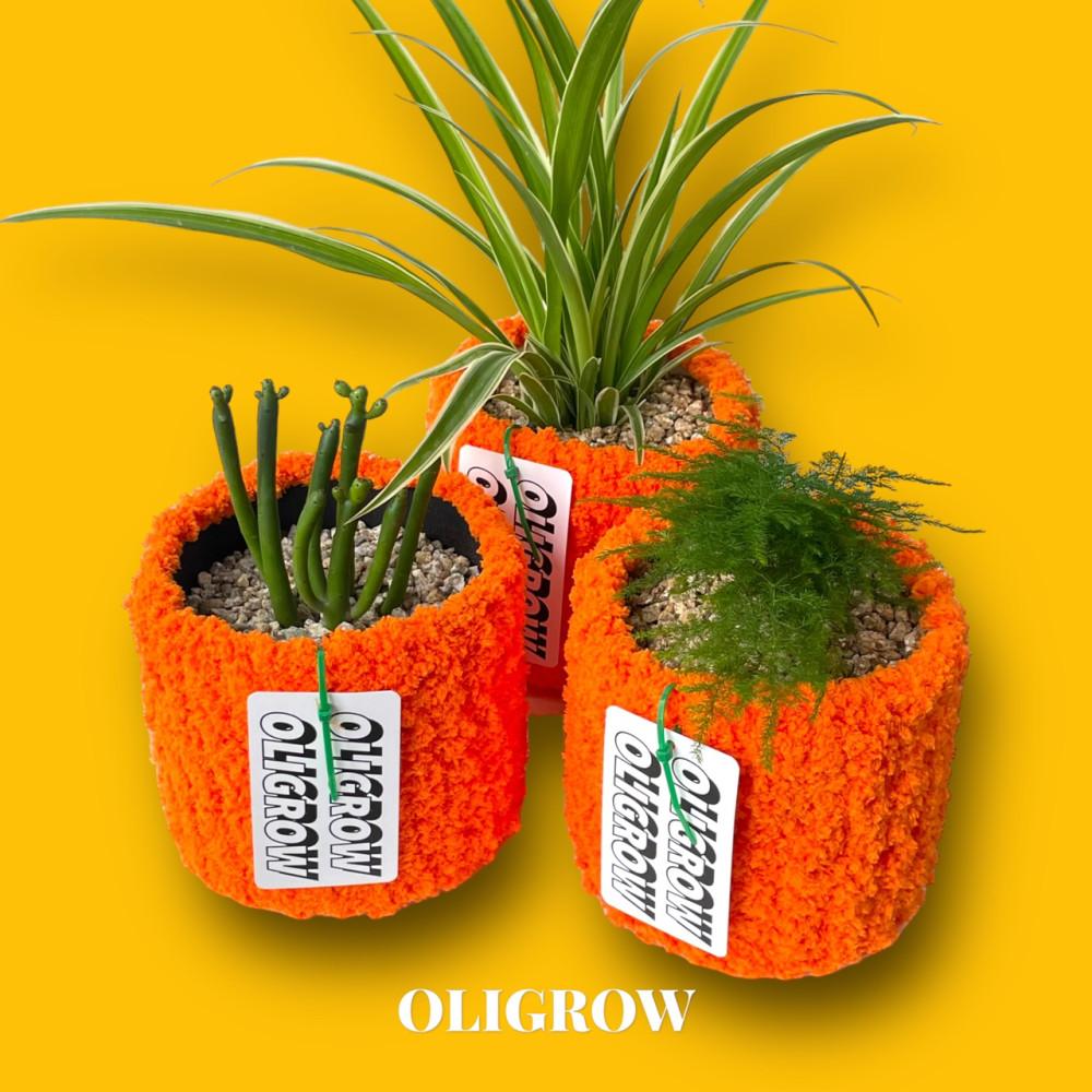 (Handmade 제작/3가지 사이즈) 당근팟 오렌지팟  PPPOT2 퍼피팟2 니팅화분 식물식재 가능