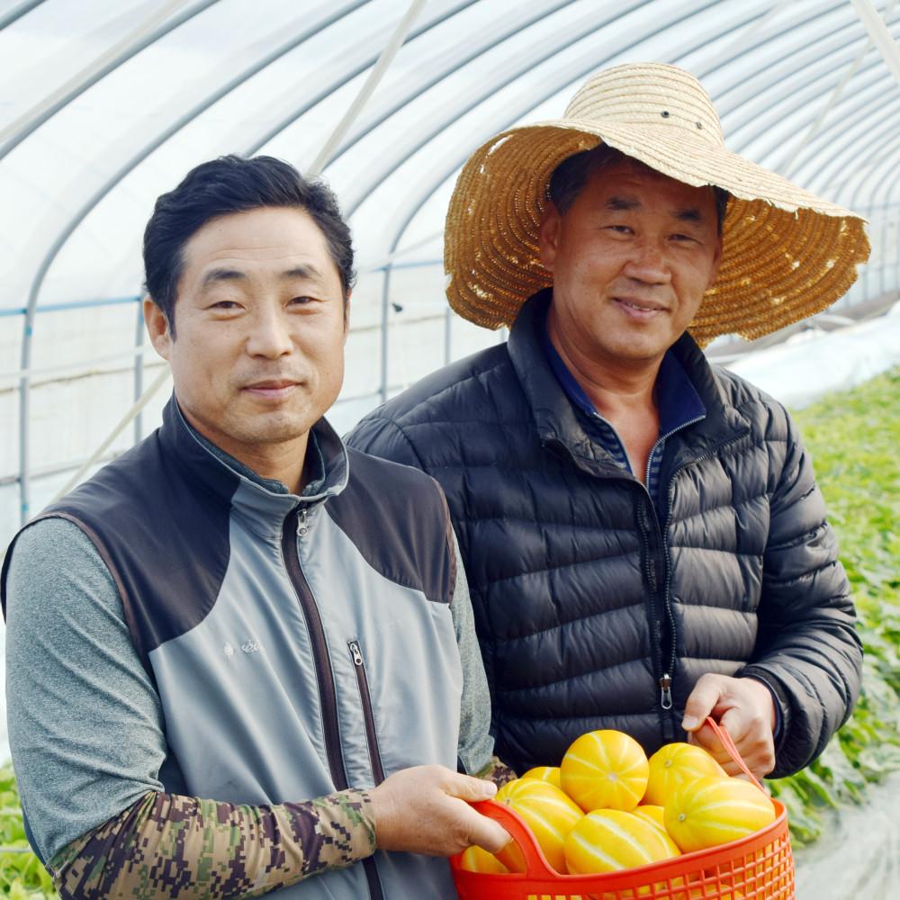 우등생 성주참외 고당도 꿀참외 산지직송