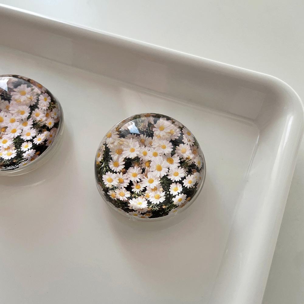 데이지반구 스마트톡