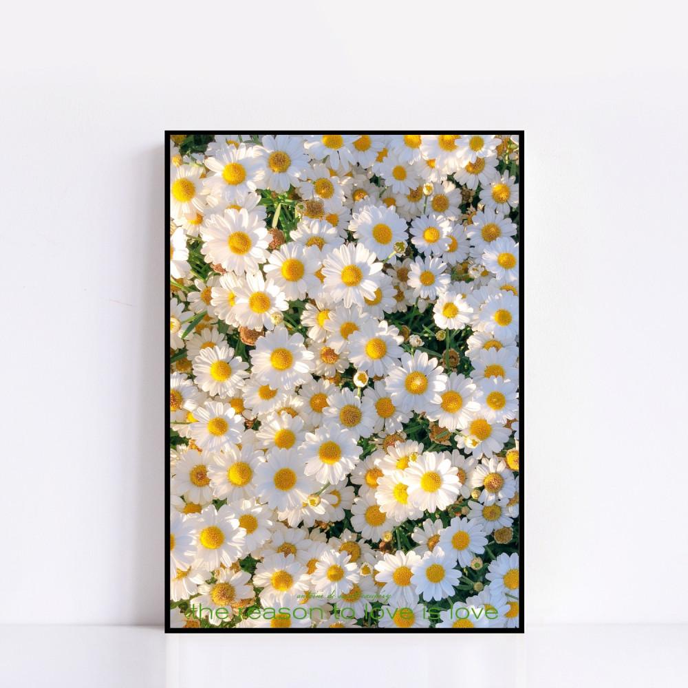 ART POSTER #372(M) the reason to love is love 화이트 플라워 꽃 화사한 사진 그림 액자