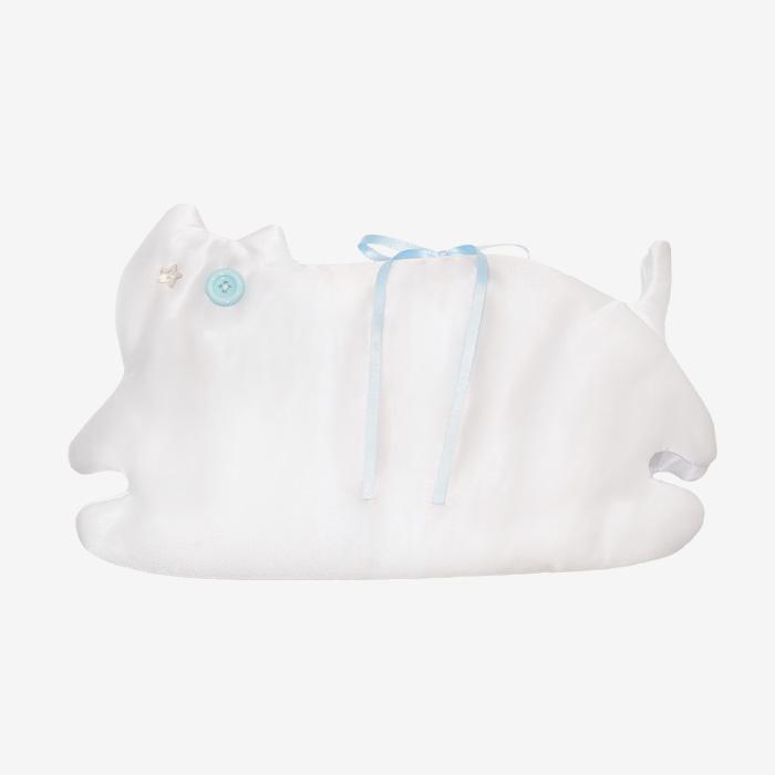 Cat book cover _ salt