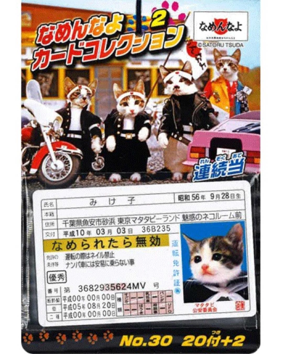 나메네코 폭주족 고양이 ( 20장 카드팩 )