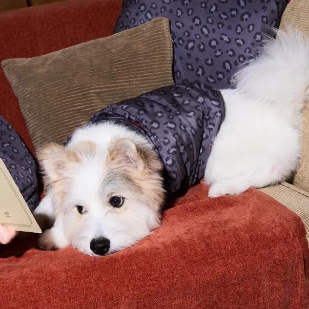 Furless Reversible Pedded Pet Vest 퍼리스 강아지 패딩 베스트 (Black&Chacoal Leopard)