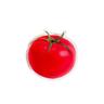 [TML] TOMATO TOK (토마토 그립톡)
