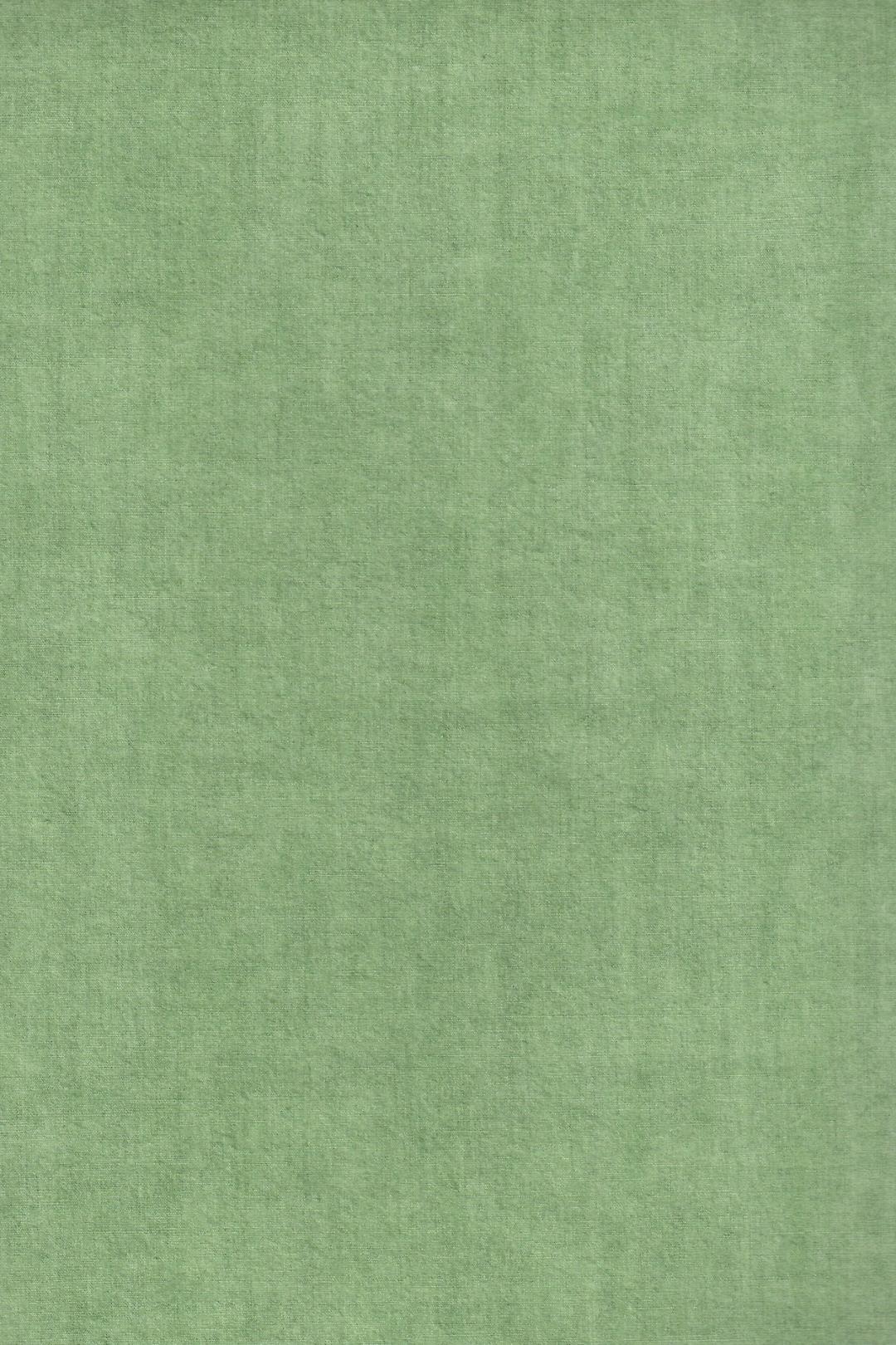 녹색 피그먼트 면