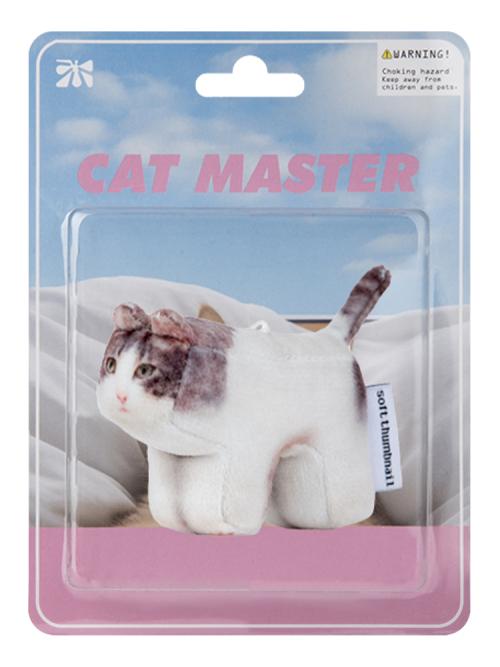 Milk, Domestic Shorthair