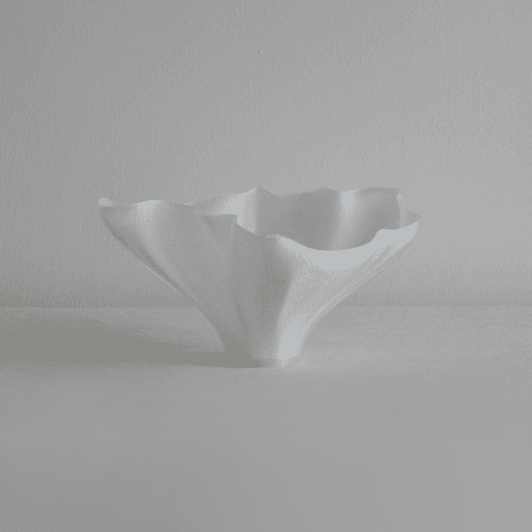 Lotus Leaf 01 - Natural Transparent