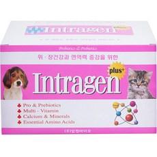 인트라젠 플러스 분말 반려동물 영양제