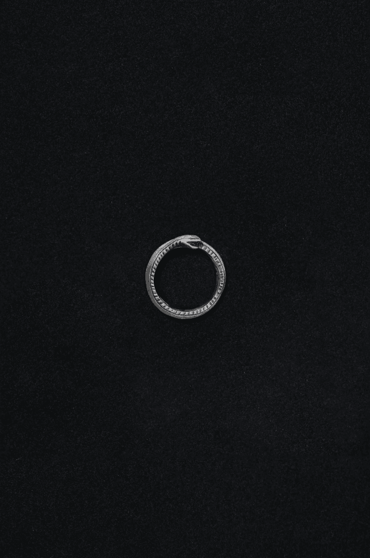 SNAKE PATTERN WINDING RING_Silver