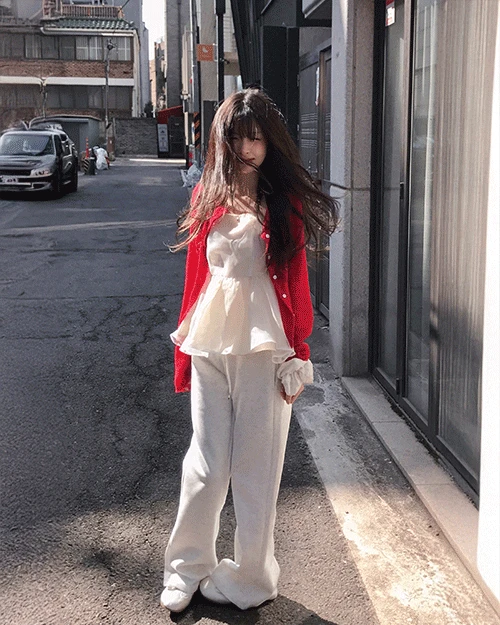 [ 청초 mood 🌿 ] 리코타 오간자 쉬폰 백라인 뷔스티에 BL