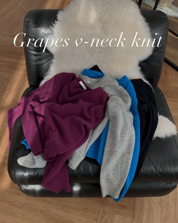 그레이프 브이넥 니트(4color)