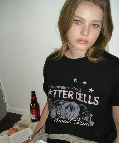 제스티 후르츠 티-블랙