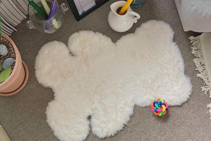 귀여운 곰돌이 장모 단모 양털 사계절 미끄럼방지 러그 카페트 2colors 4size