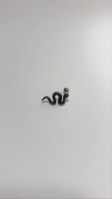 A big snake piercing