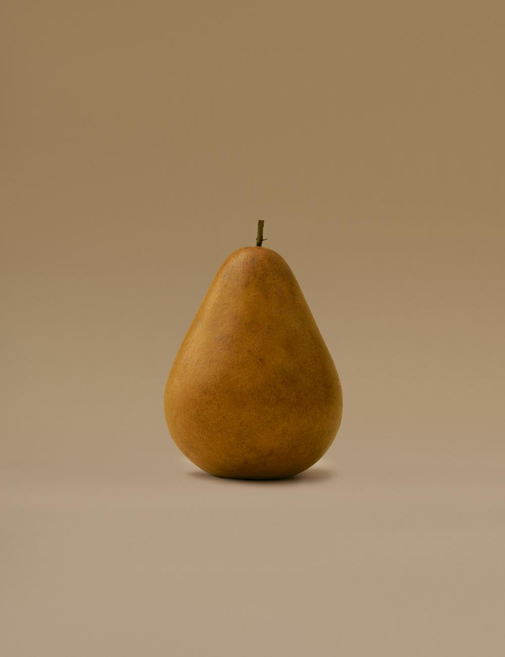 BROWN PEAR | 브라운 서양배