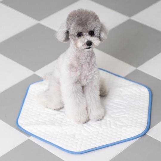 [개놀자] 눈꽃 쿨매트 강아지 고양이 냉감 쿨링