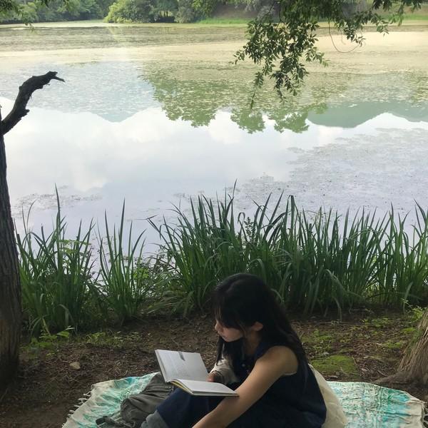 시노 레이어드 원피스  ( sino layered ops )