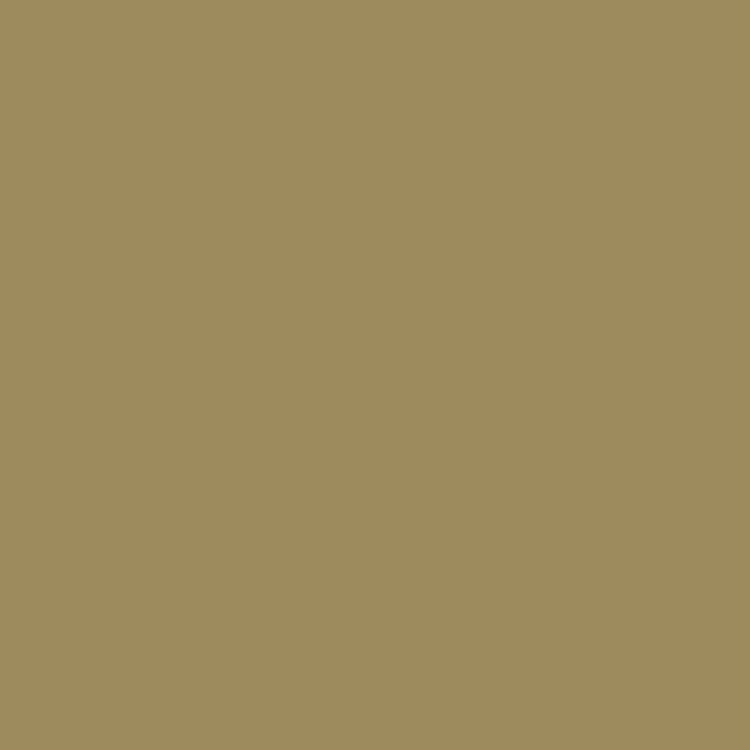 Tina Case · Beige TG5SZ005_91
