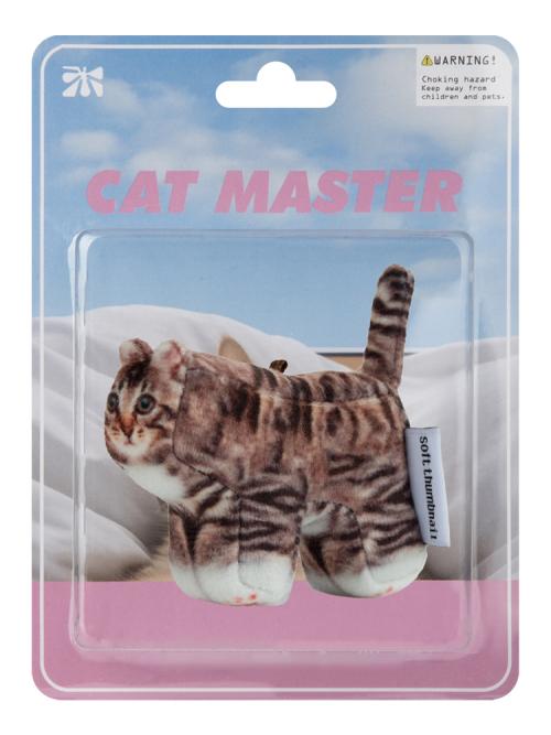 Chovy, Domestic Shorthair