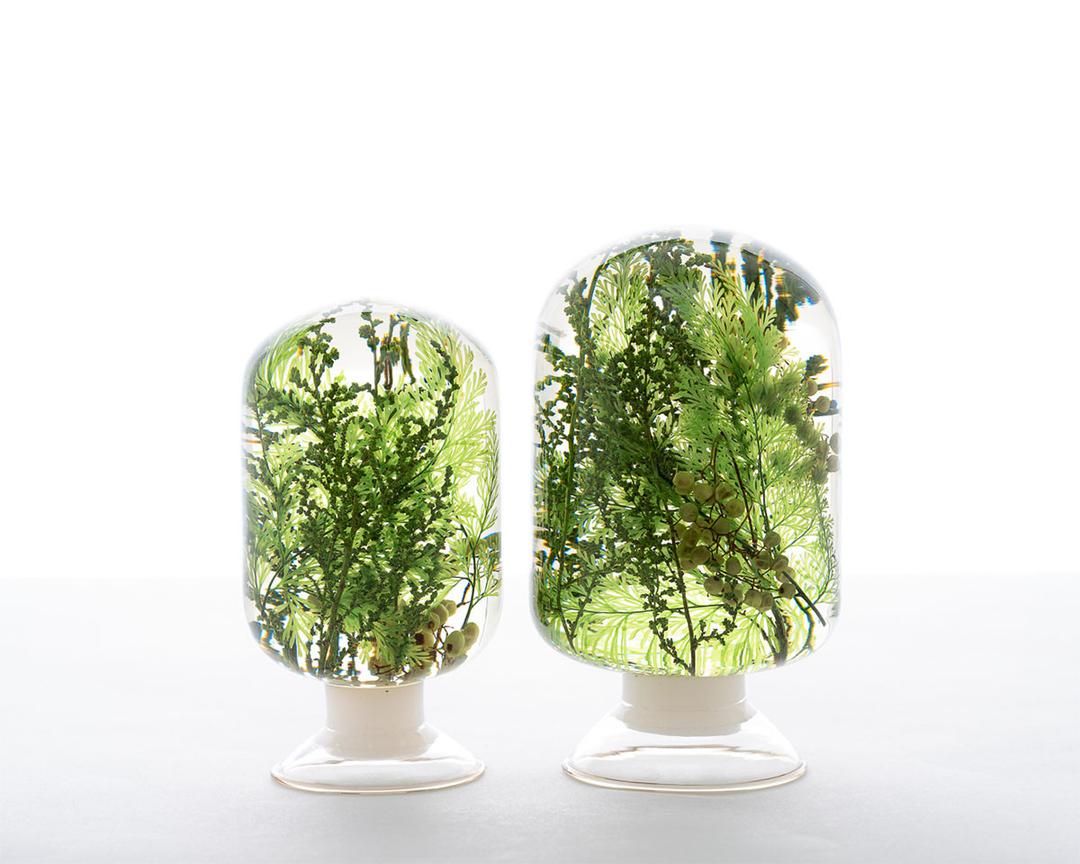 피스오브타임 - 워터플랜트