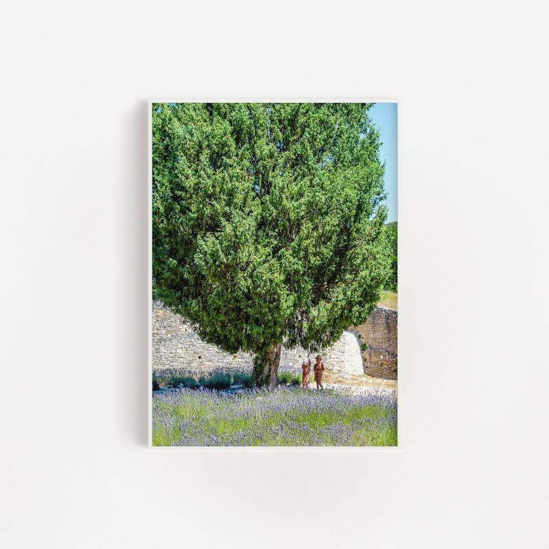 [poster] 라벤더 꽃밭 속 아이들 / lavender dream