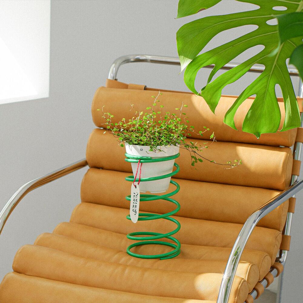 [내추럴리내추럴] Spring spring Small - GREEN