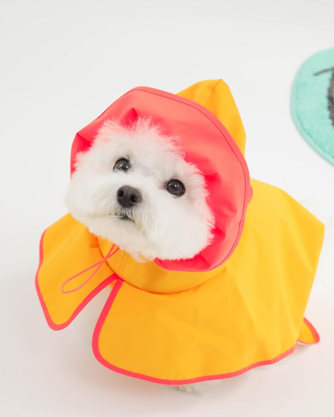 [mungmoong] 레인코트 엘로우