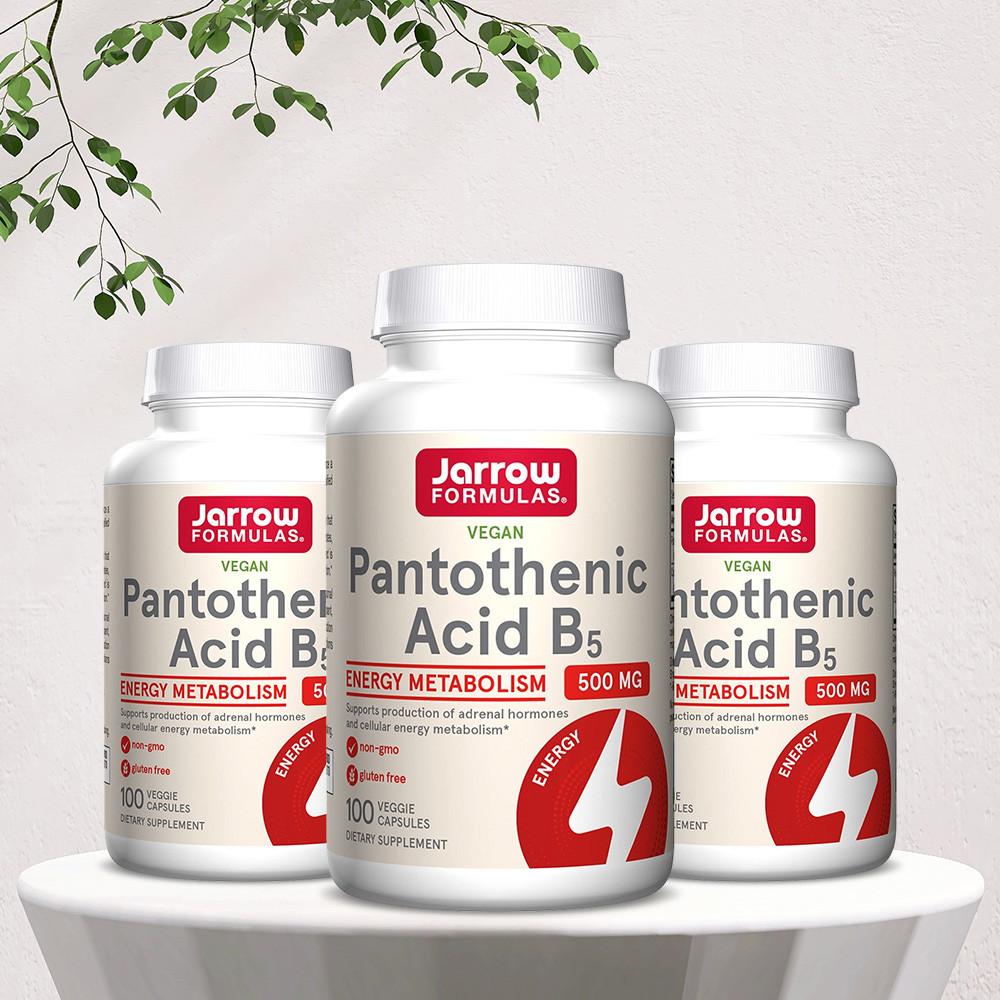 자로우 판토텐산 B5 500mg 100베지캡슐 3개 세트 비건 재로우 포뮬러스 [원산지:미국]